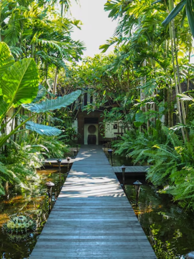 Criando um Jardim Tropical Brasileiro com Bambu e Palmeiras